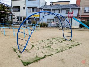 本町公園のヒネリン - コトブキ (写真は問い合わせフォームでいただいたもの。2026.10.23)